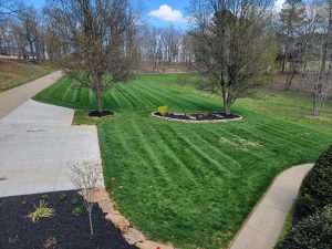 striped, healthy lawn after lawn care
