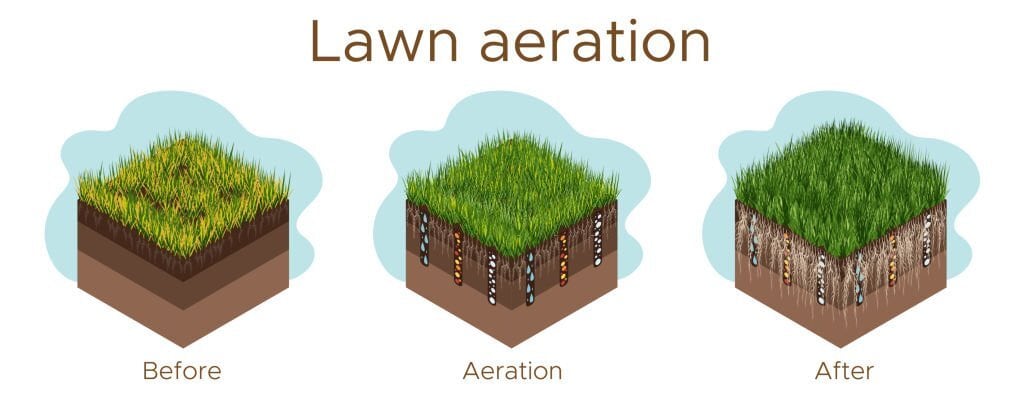 Rejuvenate Your Lawn with Aeration and Overseeding